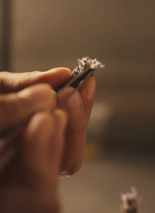 lavender